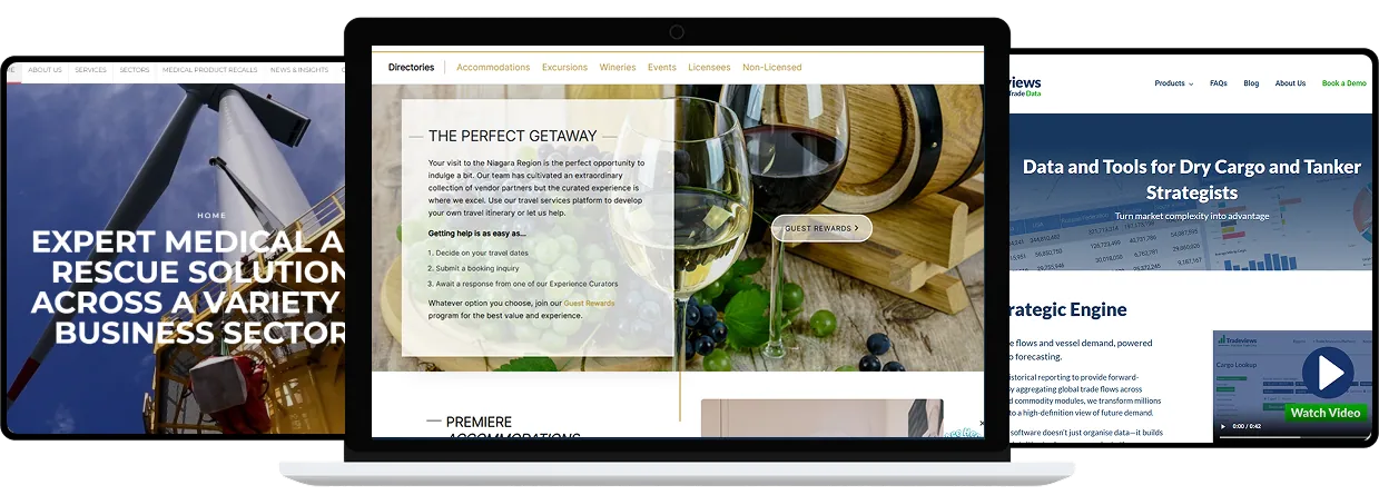 Custom web application development by Kodion Softwares